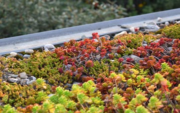 the cost of Mowbreck green roof installation