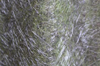 Mowbreck fibreglass roof work